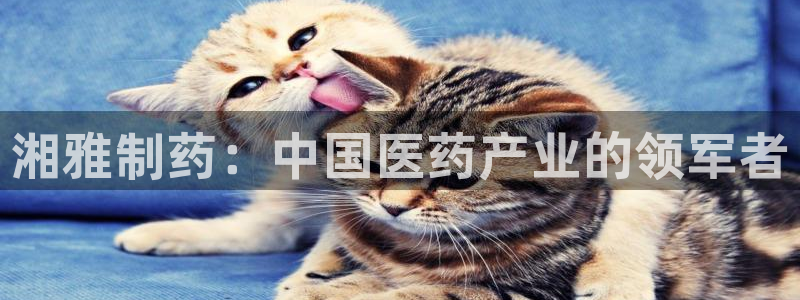 九游会老哥俱乐部官网首页论坛:湘雅制药:中国医药产业的领军者